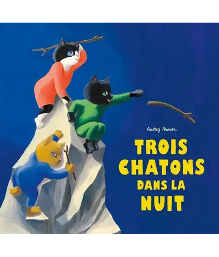 Trois chatons dans la nuit, de Audrey Poussier