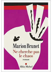 Ne cherche pas le chaos, de Marion Brunet