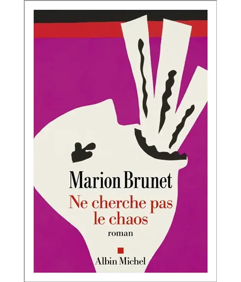 Ne cherche pas le chaos, de Marion Brunet