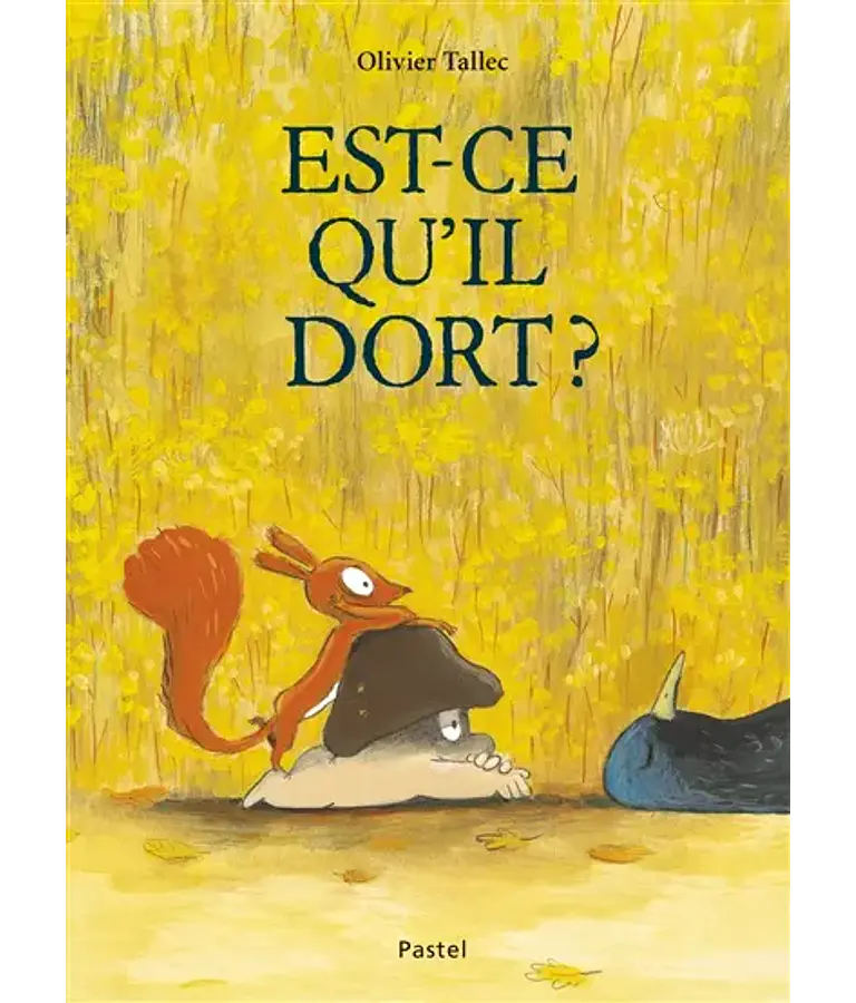 Est-ce qu'il dort ? de Olivier Tallec