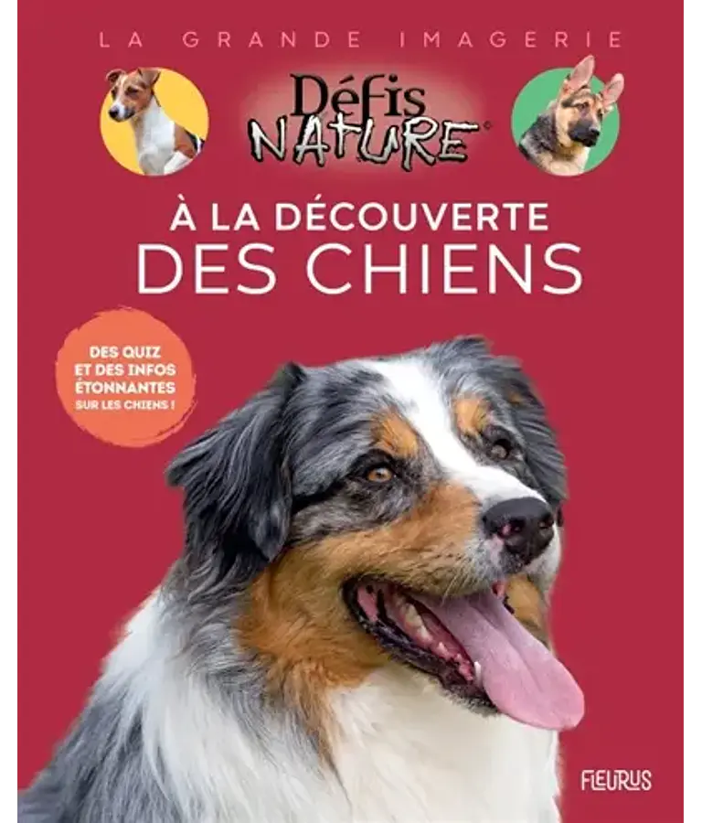 La Grande Imagerie - A la découverte des chiens