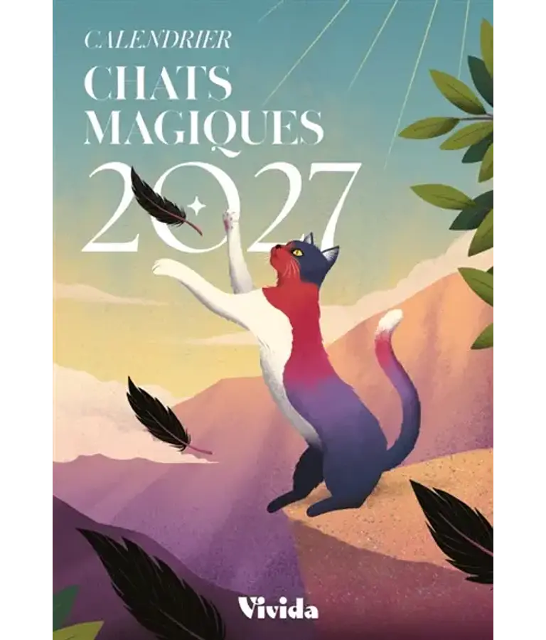 Calendrier 2027 - Chats magiques