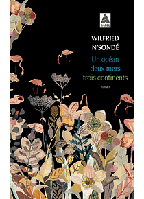 Un océan, deux mers, trois continents, de Wilfried N'Sondé