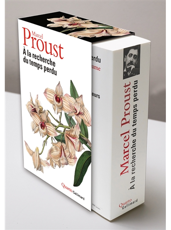 A la recherche du temps perdu, de Marcel Proust