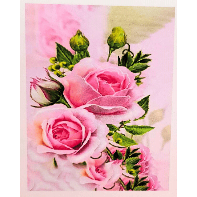 Juego de Pintura de Diamante 5D DIY de Rosas Rosadas 20x30 cms