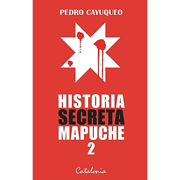 Historia secreta mapuche 2, Pedro Cayuqueo