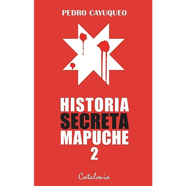 Historia secreta mapuche 2 - Pedro Cayuqueo