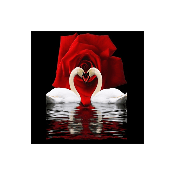 Pintura de Diamantes 5D DIY - Cisnes Rosa Roja 20x20 cm 1