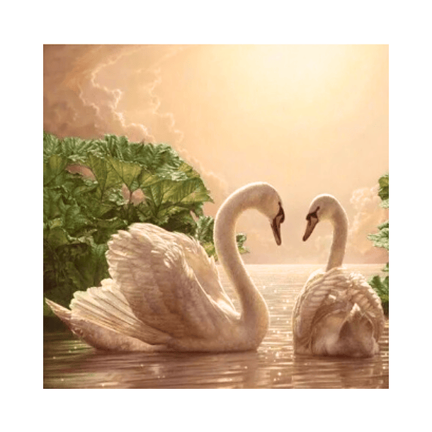 Juegos de Pintura de Diamante 5D DIY - Cisnes Corazón 20x20 cms