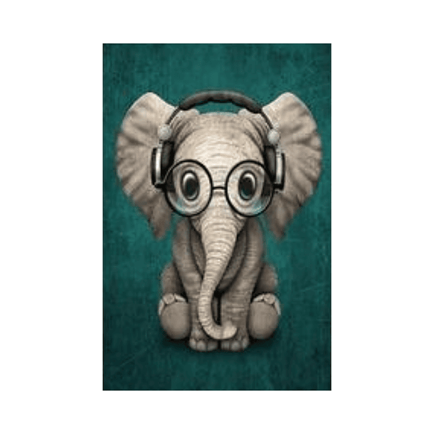 Kit Pintura De Diamantes - Elefante Con Audifonos 15x20 Cms 1