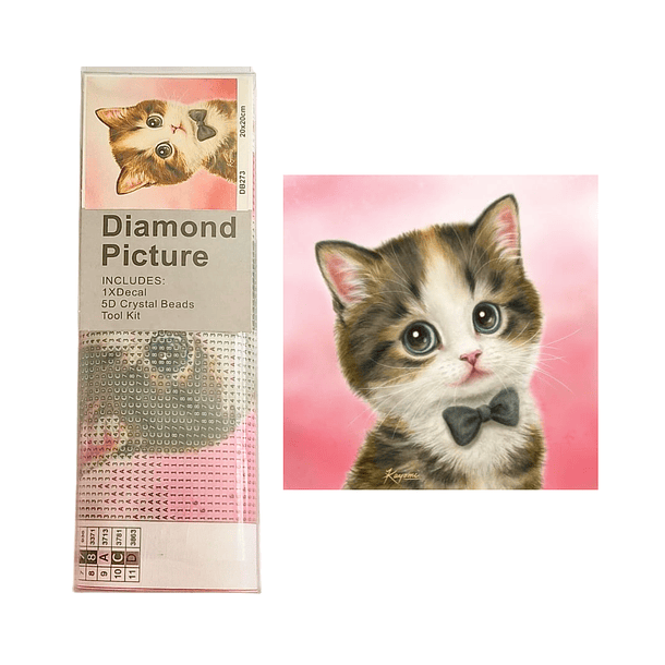 Kit Pintura De Diamantes Gato Con Huma Negra 20x20 Cms 2