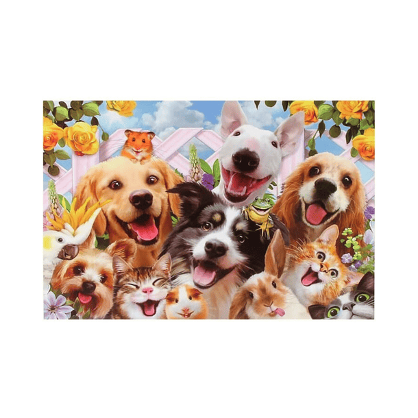 Pintura Por Números Diseño Animalitos Sonrientes 40x30cm