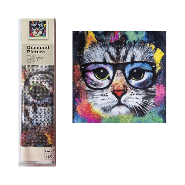 Pintura de Diamantes 5d Diy - Gato Colorido con Lentes 30x30 Cms