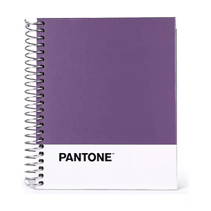 Cuaderno Pocket Pantone Color Metalizados 100 Hojas 5mm