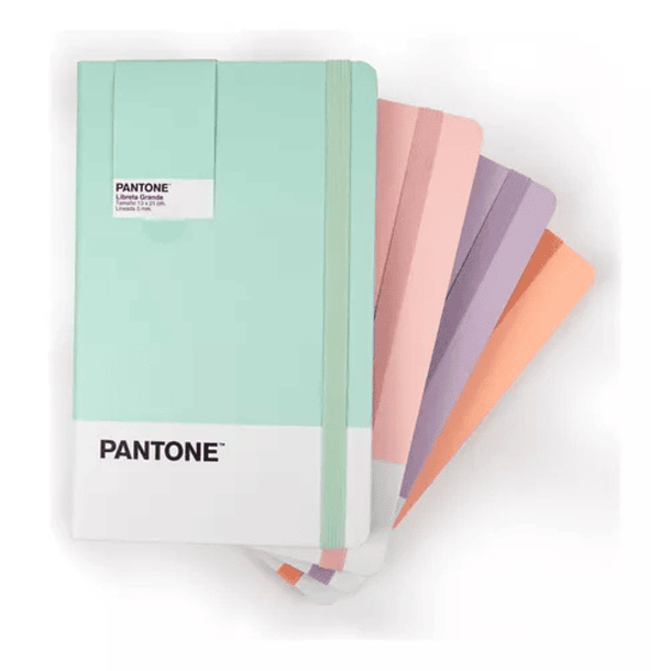 Libreta Pantone Grande Con Elástico Vertical Hoja Lineada 8