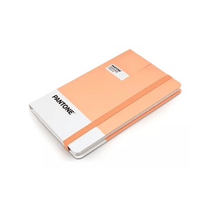 Libreta Pantone Grande Con Elástico Vertical Hoja Lineada