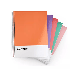Pack 5 Cuadernos Premium Pantone Carta (grande) Trends 7mm
