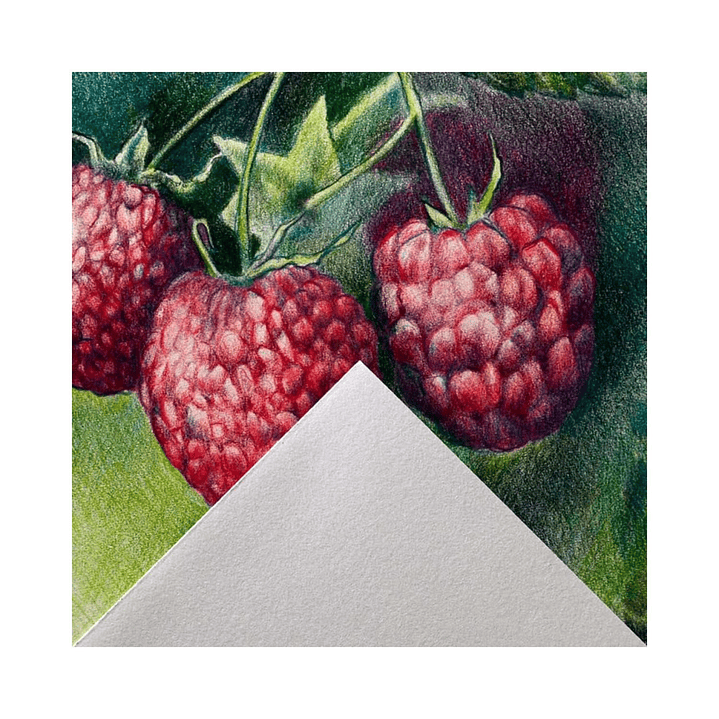 Block de Dibujo Canson Graduate A3 29,7x42cm 30 hojas 160gr. 2