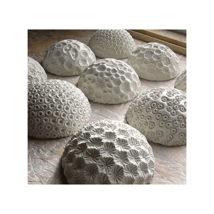 Das Masa Blanca 500 Gr Pack 2 unidades 6