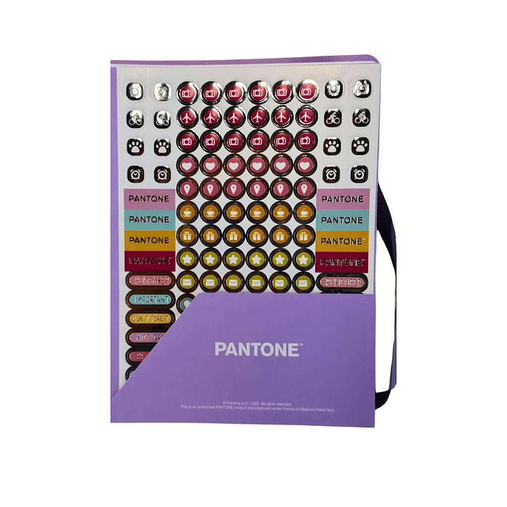 Cuaderno Disco Medio Oficio Pantone Lila 80 hojas  3
