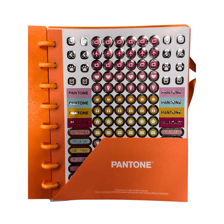 Cuaderno Disco Medio Oficio Pantone Coral 80 hojas  6