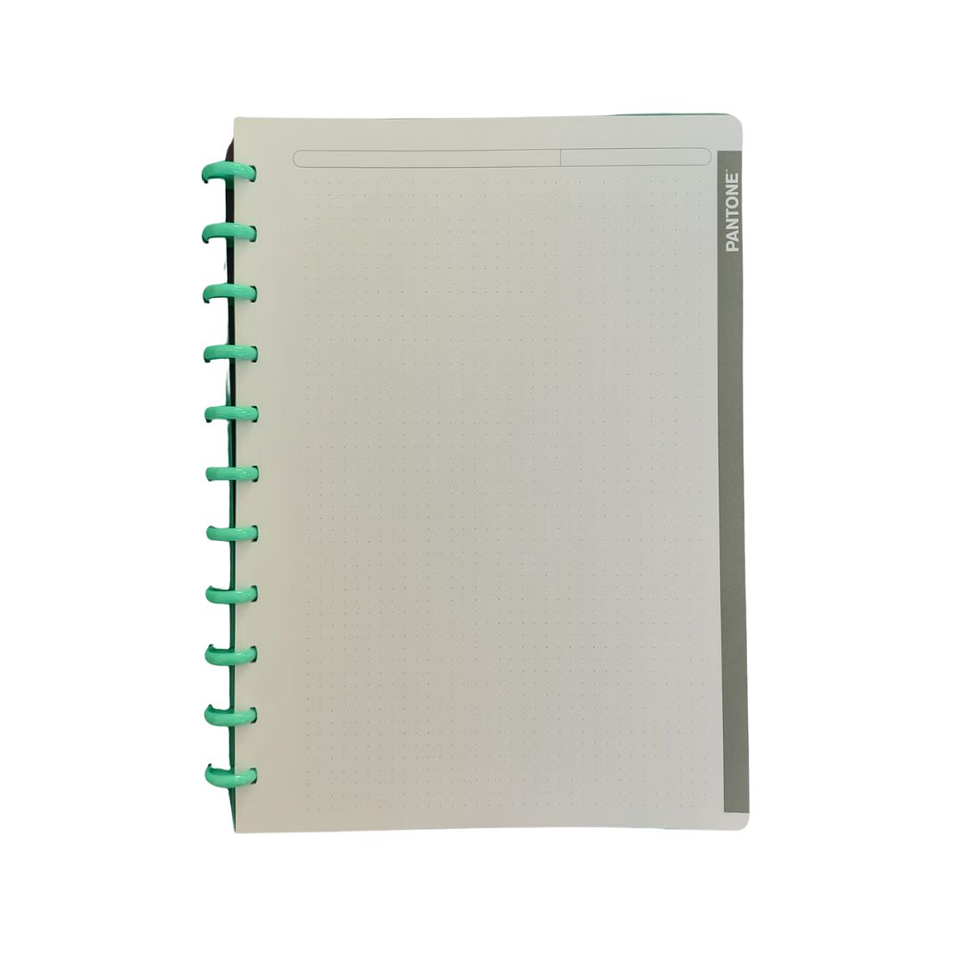 Cuaderno Discos Grande Pantone Menta A4 80 hojas  3