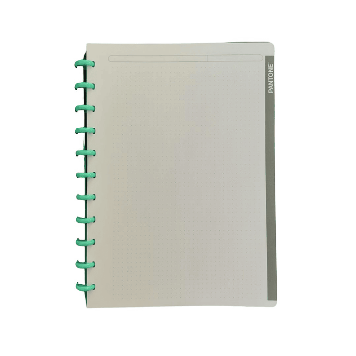 Cuaderno Discos Grande Pantone Menta A4 80 hojas  3