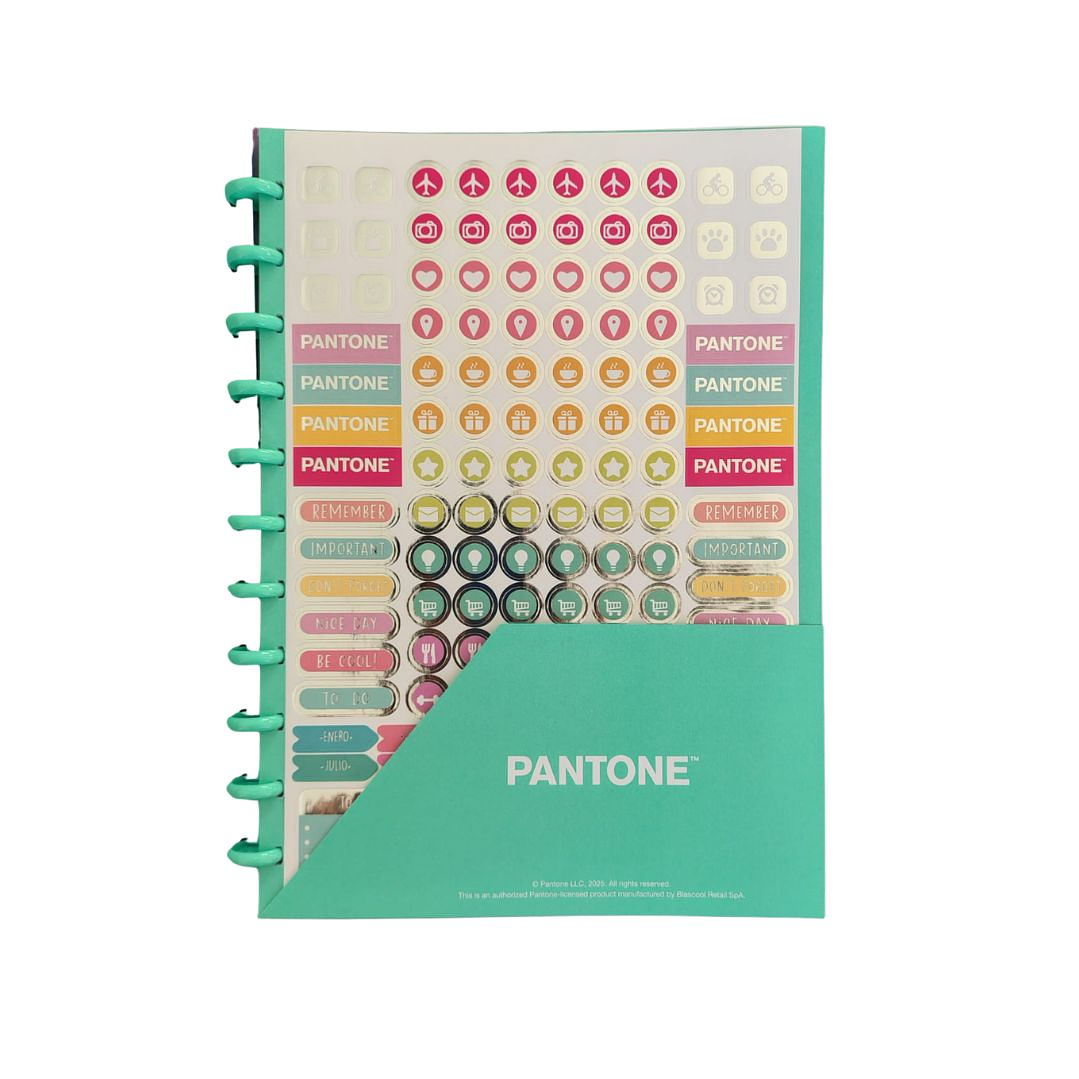 Cuaderno Discos Grande Pantone Menta A4 80 hojas  4