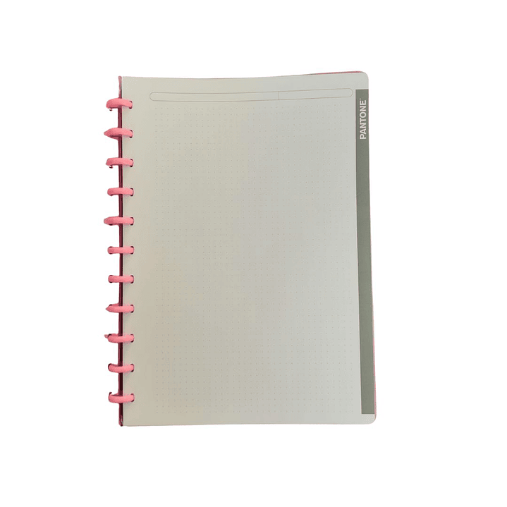 Cuaderno Discos Grande Pantone Rosado A4 80 hojas  4