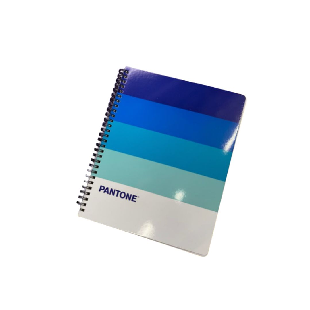 Pack 10 Cuaderno Universitario Pantone Pantonera 7mm 5