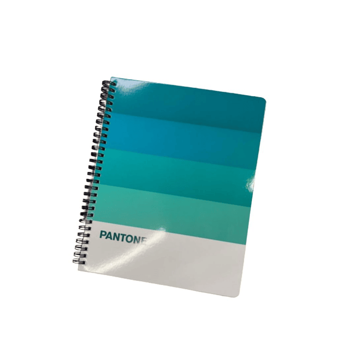 Pack 10 Cuaderno Universitario Pantone Pantonera 7mm 4