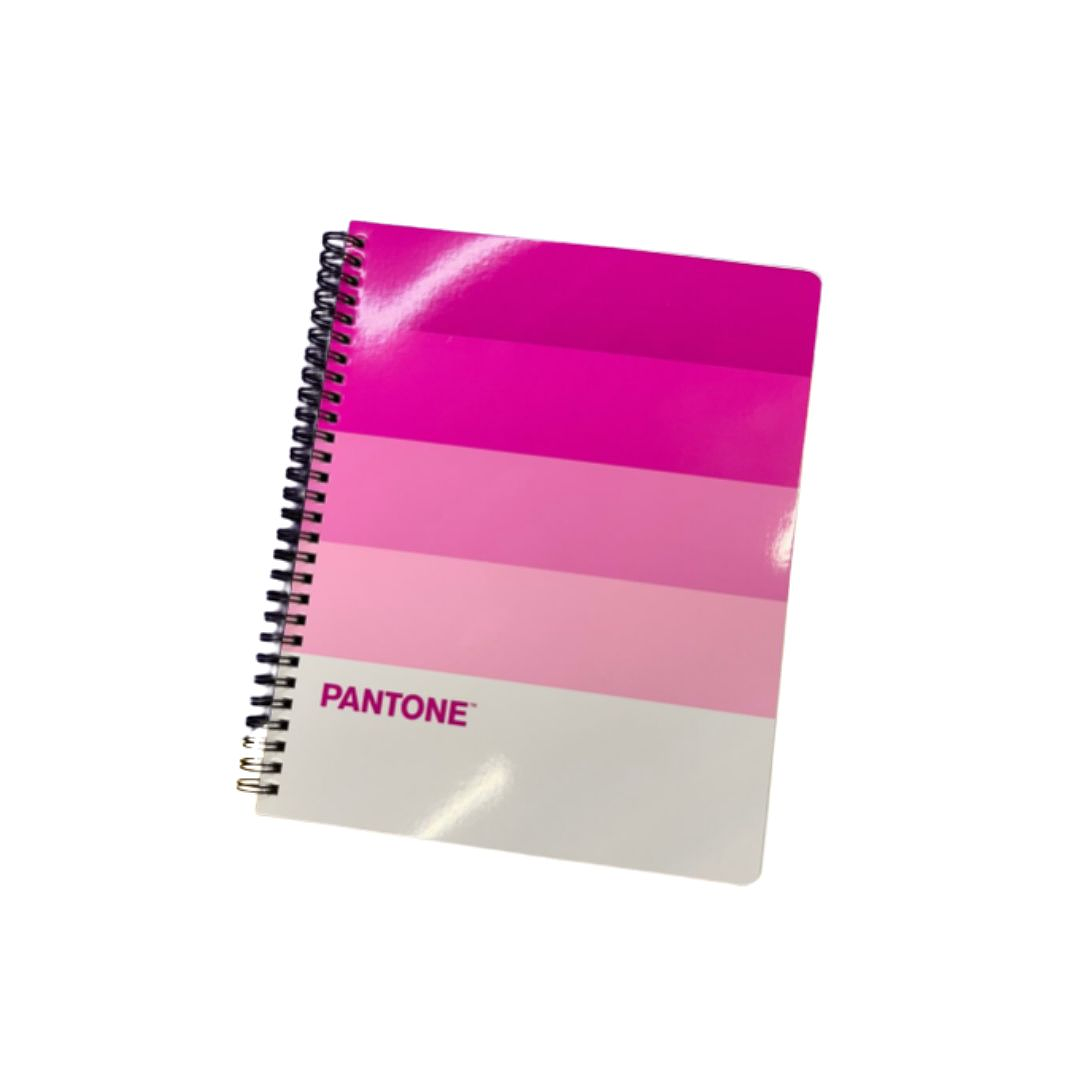 Pack 10 Cuaderno Universitario Pantone Pantonera 7mm 1
