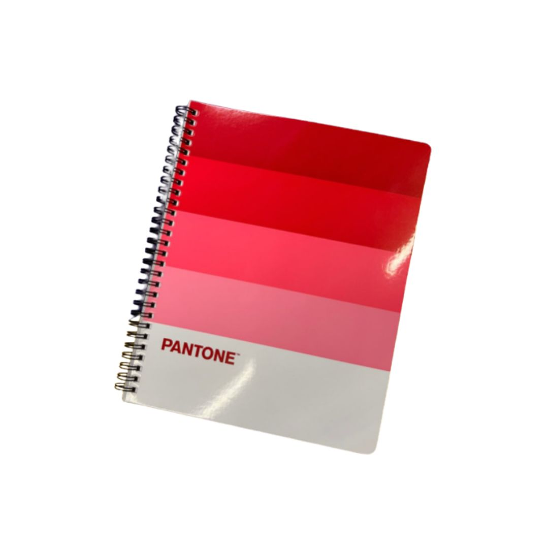 Pack 10 Cuaderno Universitario Pantone Pantonera 7mm 3