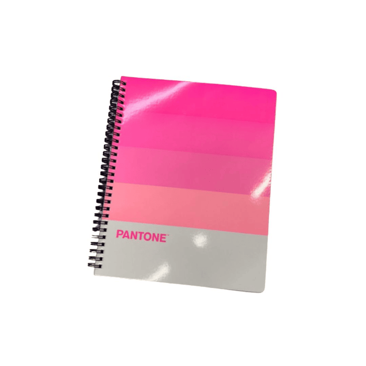Pack 10 Cuaderno Universitario Pantone Pantonera 7mm 2