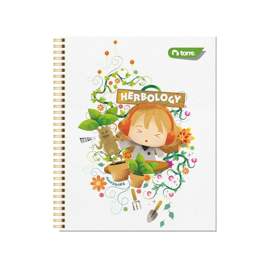 Pack 10 Cuaderno Torre Universitario Harry Potter 7mm 100h 8