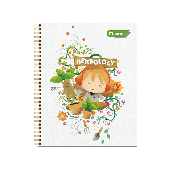 Pack 10 Cuaderno Torre Universitario Harry Potter 7mm 100h 8