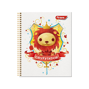 Pack 10 Cuaderno Torre Universitario Harry Potter 7mm 100h