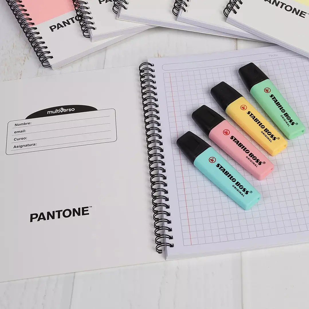 Pack 10 Cuaderno Universitario Pantone Pantonera 7mm 8