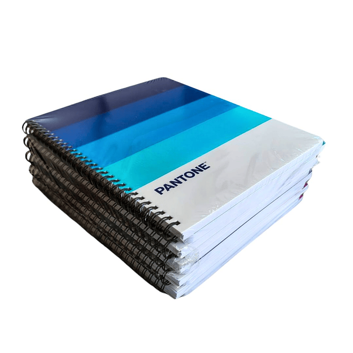Pack 10 Cuaderno Universitario Pantone Pantonera 7mm 7
