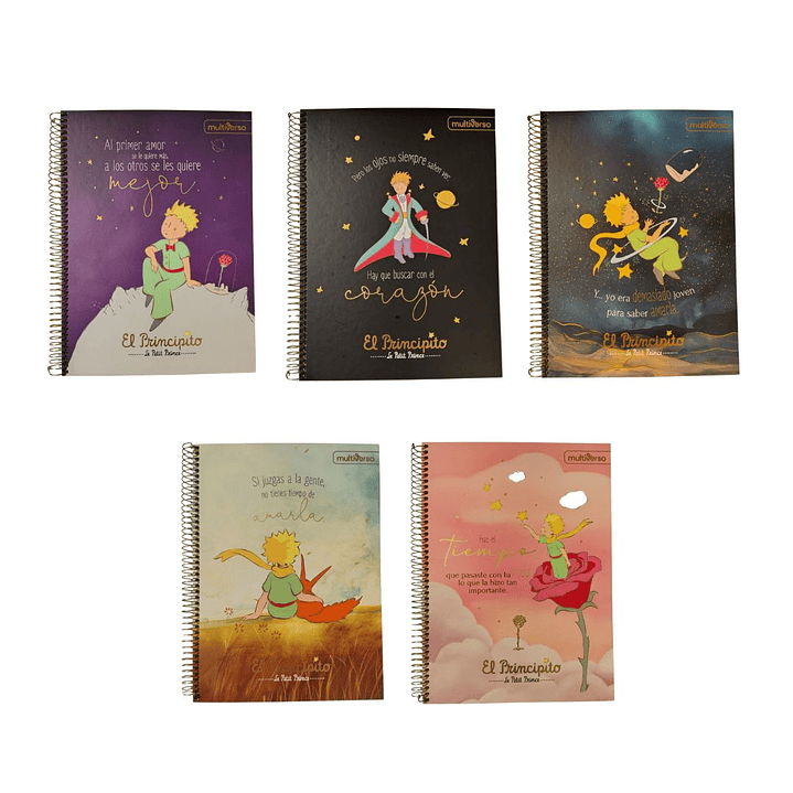 Pack 5 Cuadernos El Principito Carta (grande) 7mm 120hojas 2