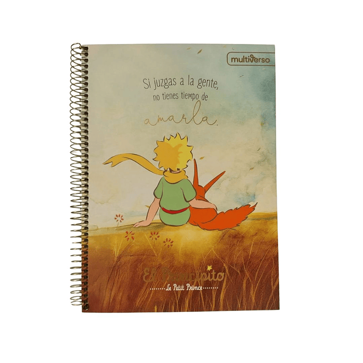 Cuadernos El Principito Carta (grande) 7mm 120hojas 3