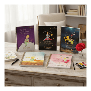 Pack 5 Cuadernos El Principito Carta (grande) 7mm 120hojas