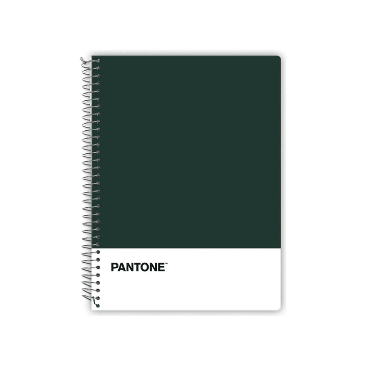 Cuaderno Pantone Nature Color Carta 120 Hojas 7mm 3