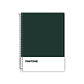 Pack 5 Cuaderno Pantone Nature Color Carta 120 Hojas 7mm - Miniatura 2
