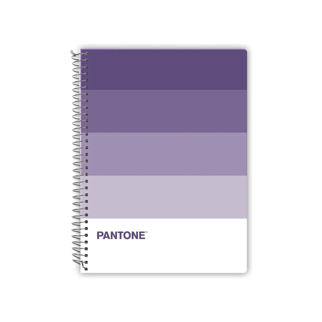 Pack 5 Cuadernos Carta Pantone Pantonera 120hojas 7mm 3