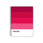 Pack 5 Cuadernos Carta Pantone Pantonera 120hojas 7mm - Miniatura 6