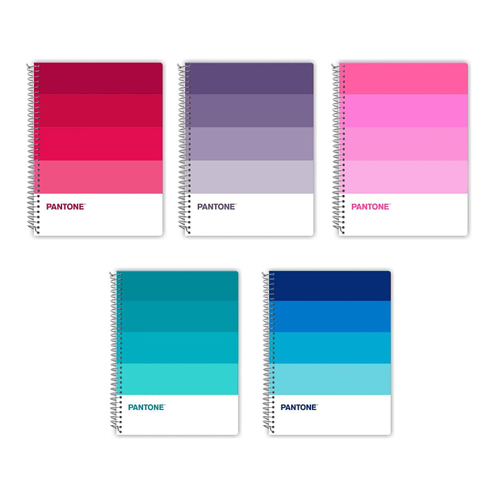 Pack 5 Cuadernos Carta Pantone Pantonera 120hojas 7mm 1