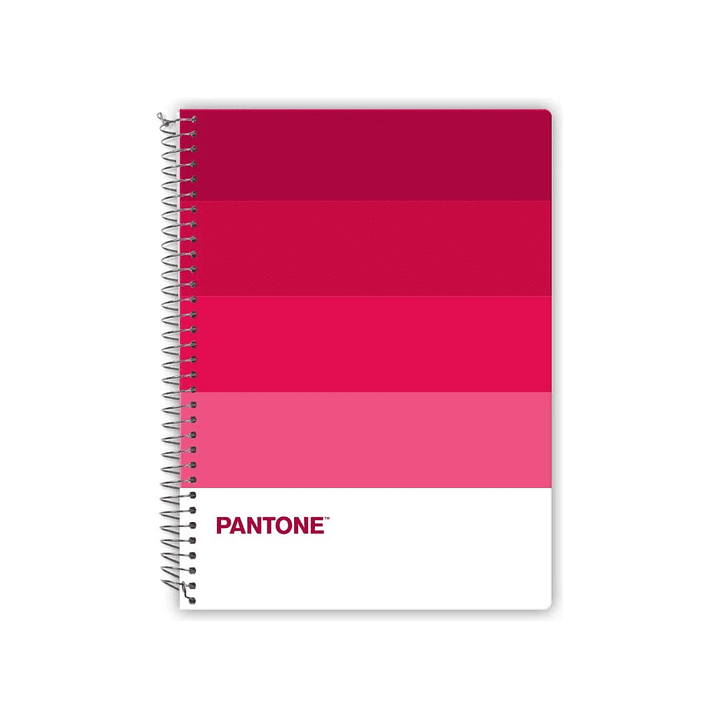 Cuadernos Carta Pantone Pantonera 120hojas 7mm 1