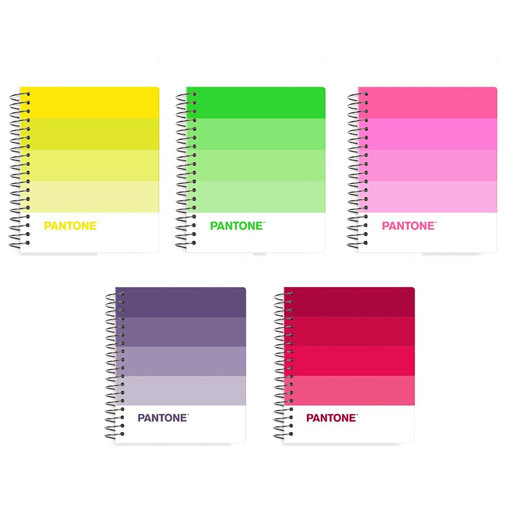 Pack 5 Cuadernos Pocket Pantonera 100 Hojas 5mm 1
