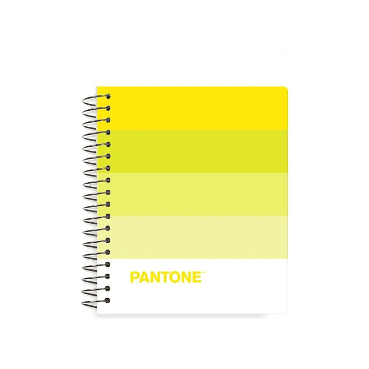 Cuadernos Pocket Pantonera 100 Hojas 5mm 3